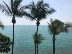 The Berth By The Cove (D4), Condominium #458108821